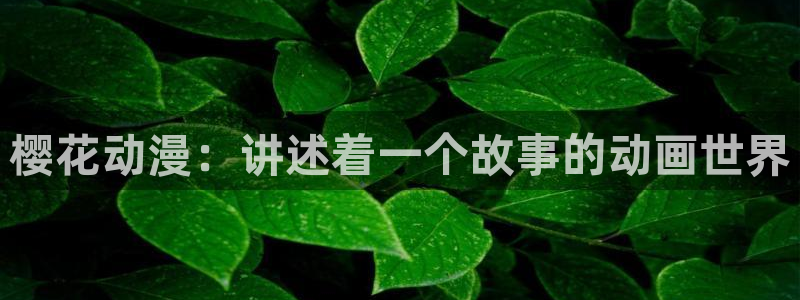 omofun网页版地址