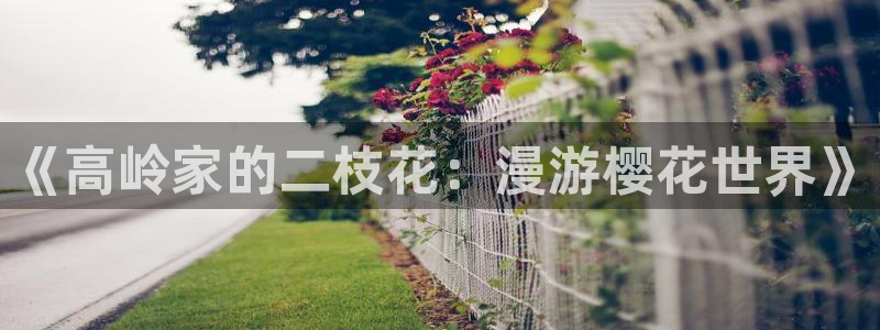 omofun动漫下载ios版