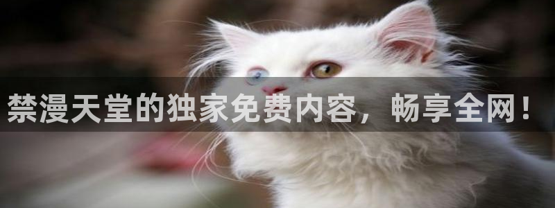 omofun最新版本