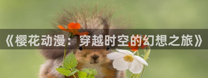 omofun动漫官方版下载