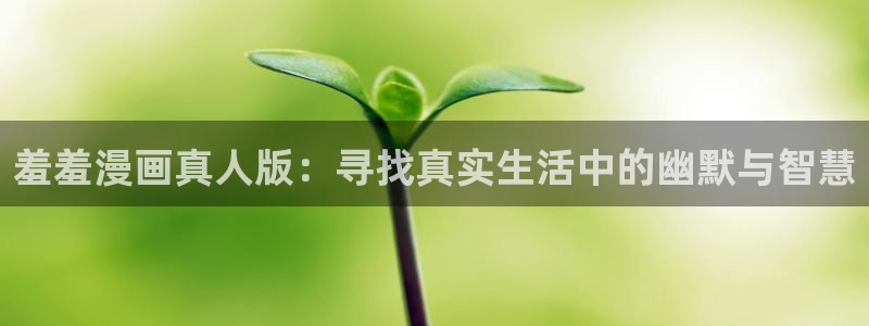 omofun 翻译