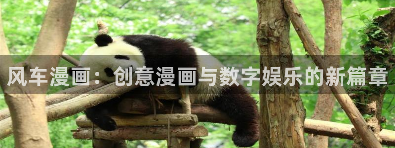 omofun苹果安装包