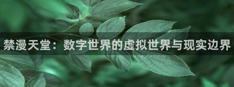 omofun宕卧