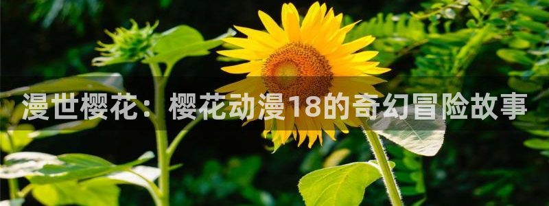 omofun网页版入口分享ios