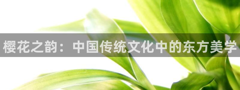 omofun动漫官方下载