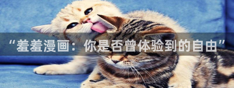 omofun动漫网页版