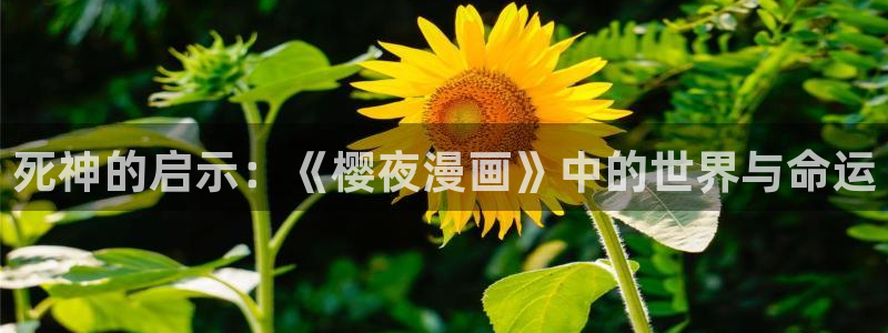 omofun旧版本