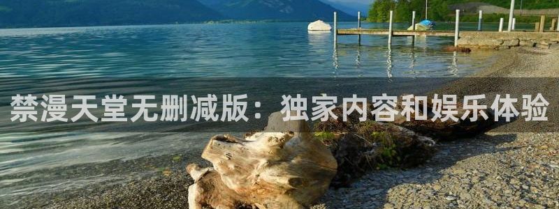 omofun.on：禁漫天堂无删减版：独家内容和娱乐体验